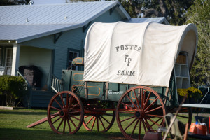 Foster Farm
