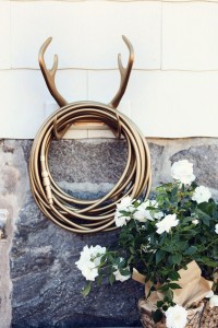 Antler Accents | The Style Scribe