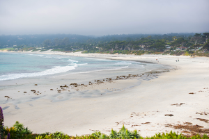Carmel By The Sea | The Style Scribe