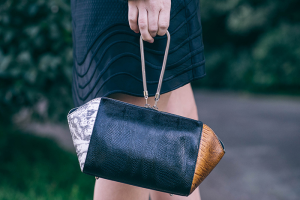 Alexander Wang Chastity Clutch | The Style Scribe