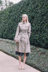 Burberry Brit Dress | The Style Scribe