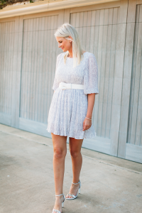 Anine Bing Dress | The Style Scribe