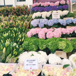 Columbia Road Flower Market, London | The Style Scribe