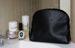 Longchamp Leather Cosmetic Case | The Style Scribe