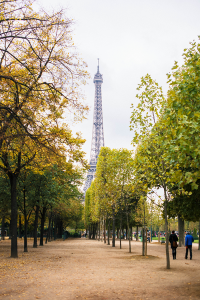 Fall in Paris | The Style Scribe