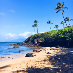 Maui Travel Guide | The Style Scribe