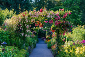 Butchart Gardens, Victoria | The Style Scribe